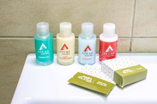 Отель Hotel Atlas Abashidze Тбилиси-54